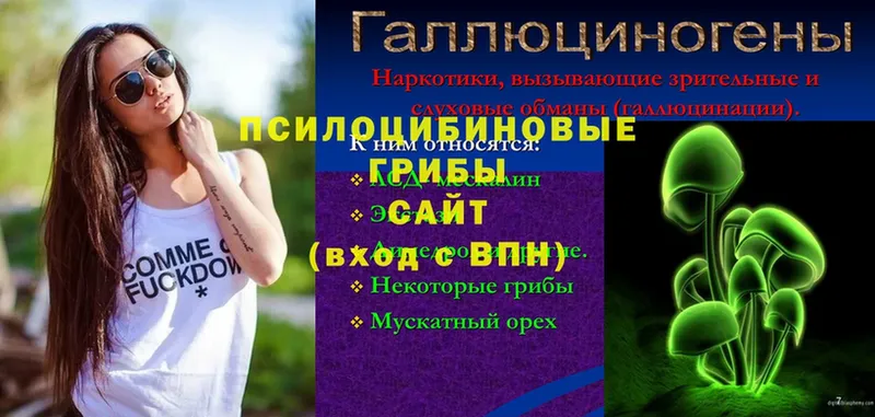 Псилоцибиновые грибы ЛСД  наркота  Владивосток 